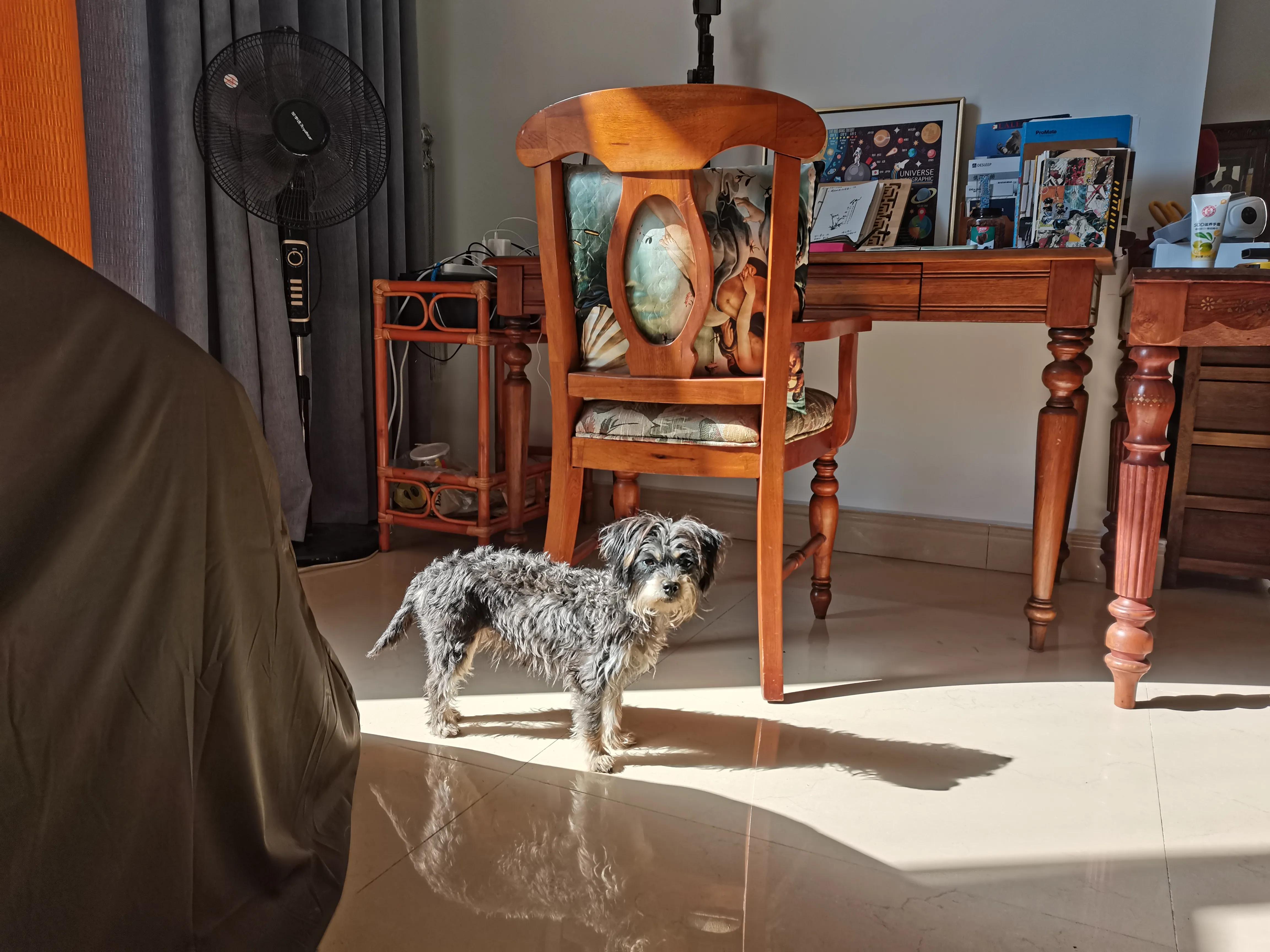 龙壁日记——想起在路上流浪的日子,孤苦却自在,艰难而欢喜