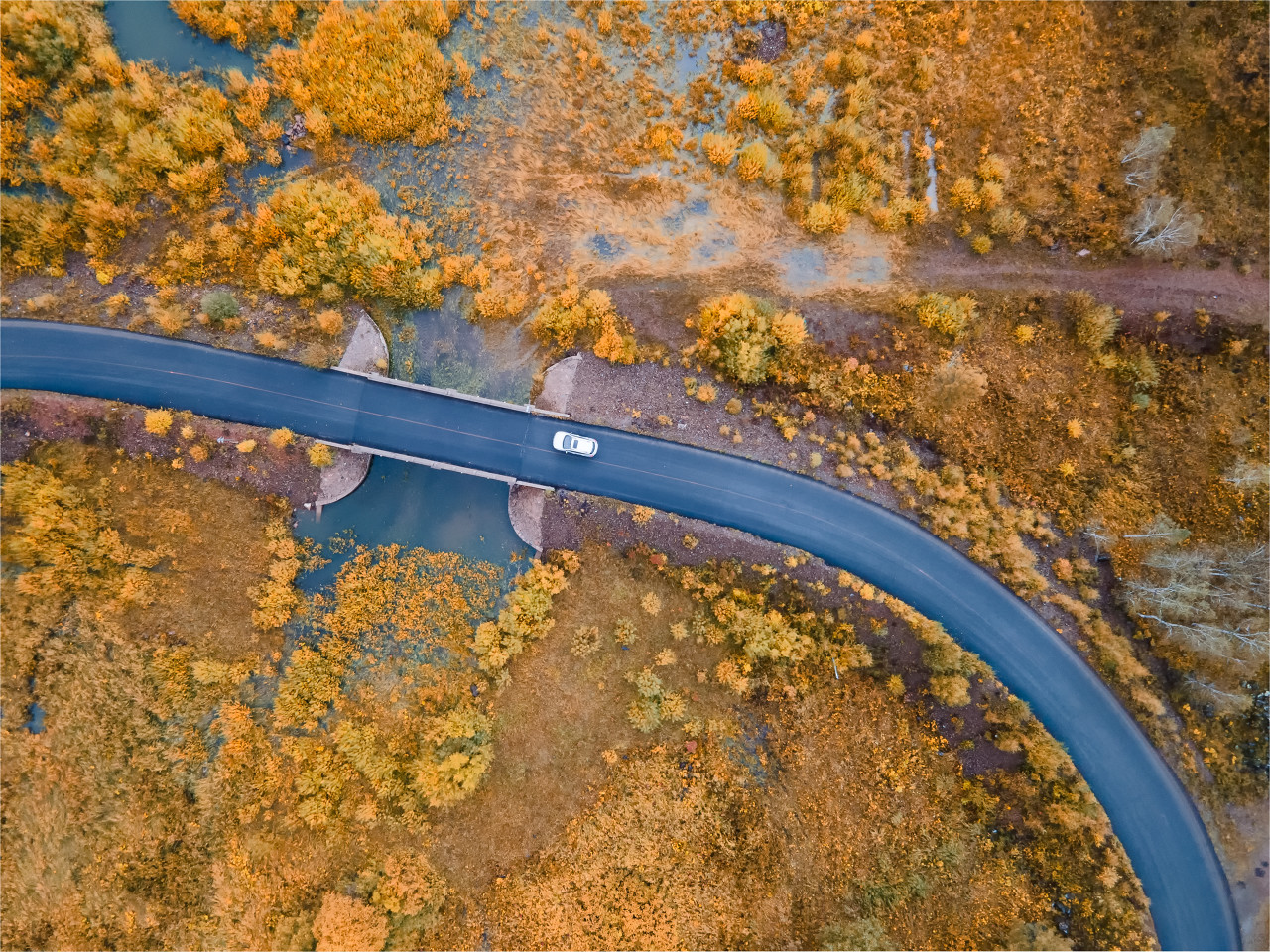 北疆金秋喀纳斯美景,北疆秋色最美喀纳斯