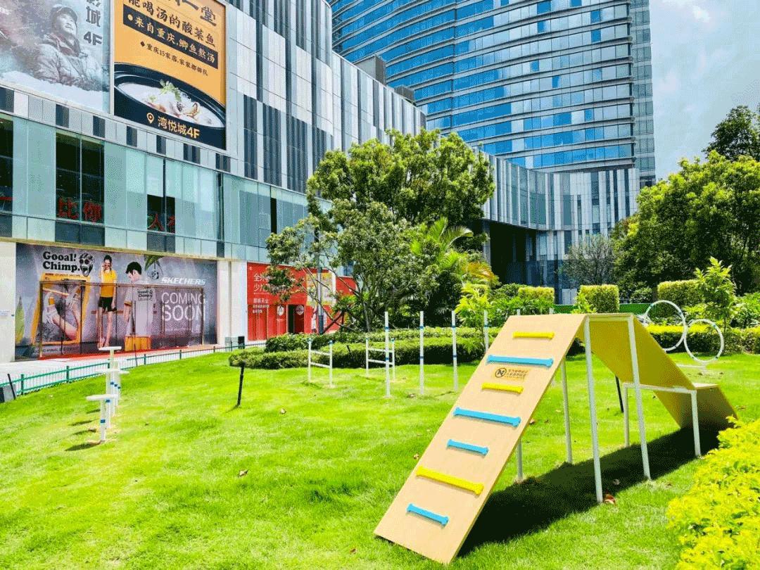 露营围炉煮茶周末旅游经济出新招,户外露营围炉煮茶需多大投资