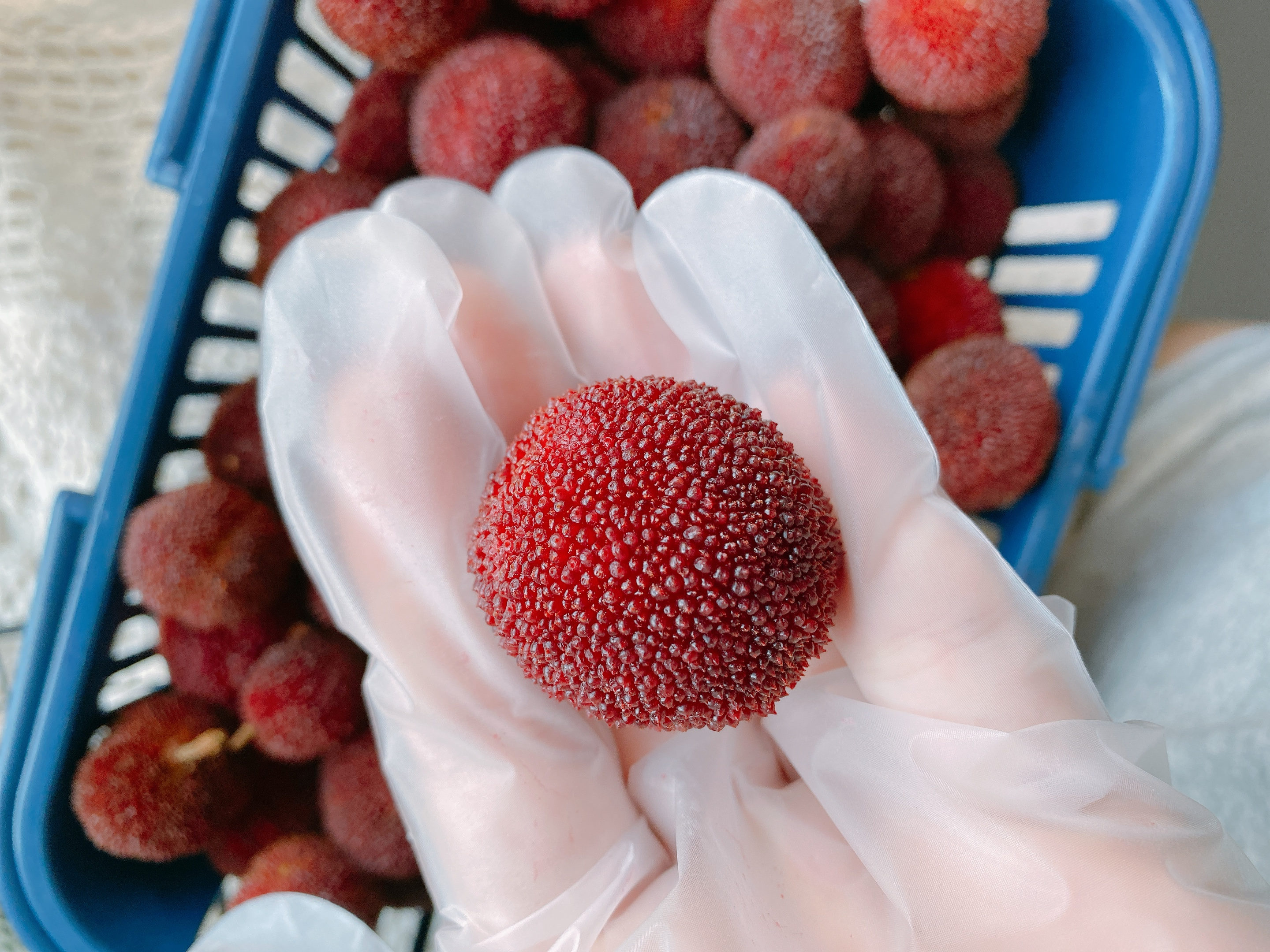 最适合泡酒的水果排行榜,水果泡酒排行榜前十名柠檬泡酒