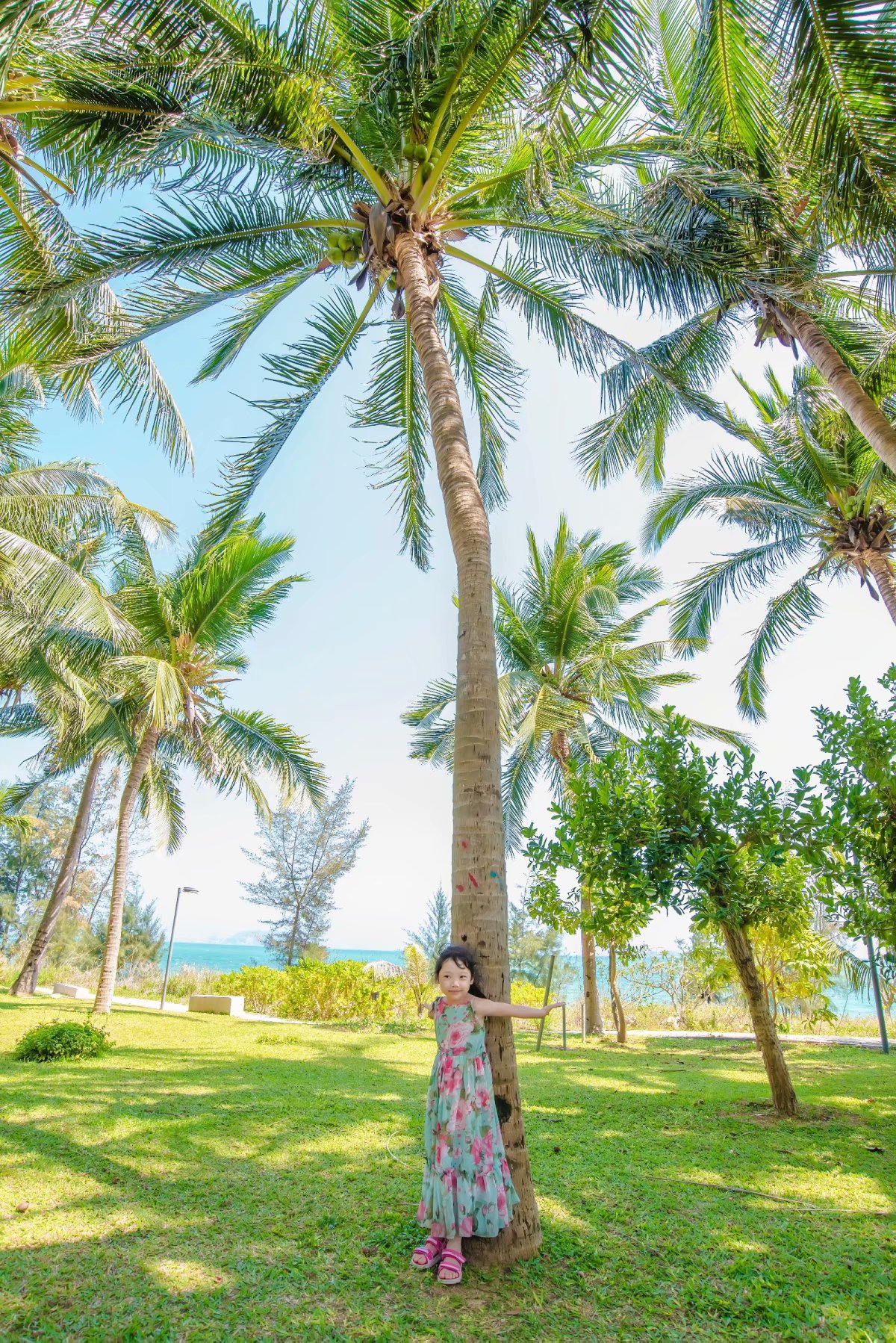 泰国三亚旅游对比,三亚和泰国旅游选择哪里