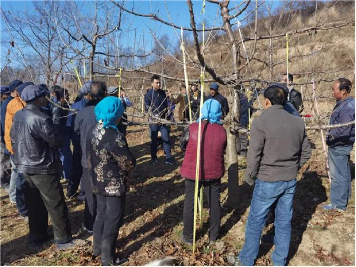 果园三剑客,果树清园三剑客