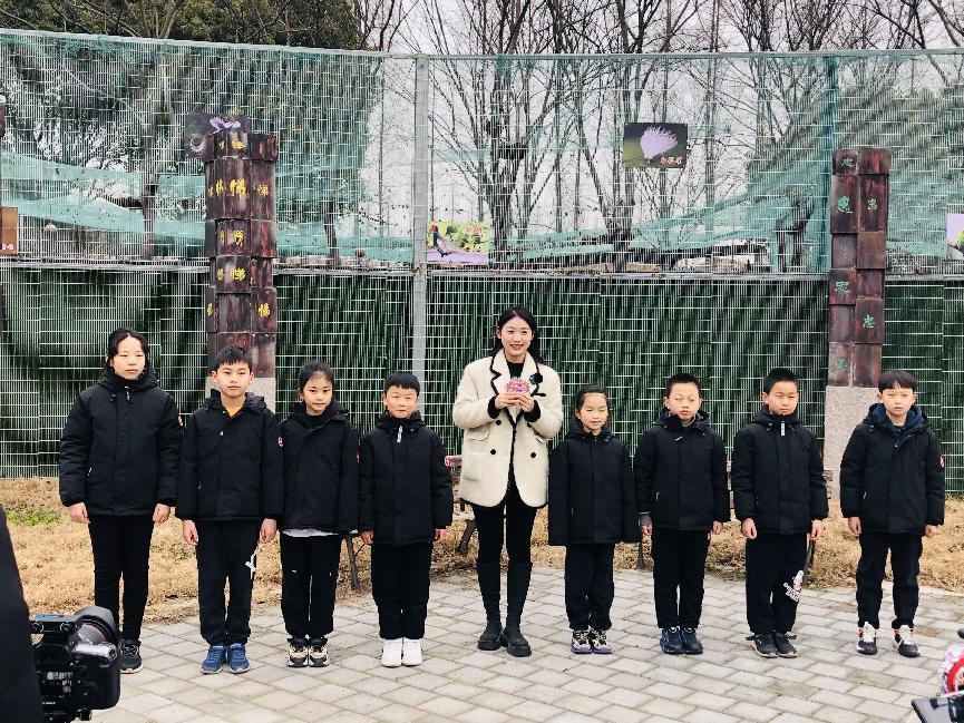 江苏大型儿童成长节目剪刀石头布,小鸭嘎嘎儿歌石头剪刀布早教0-3岁