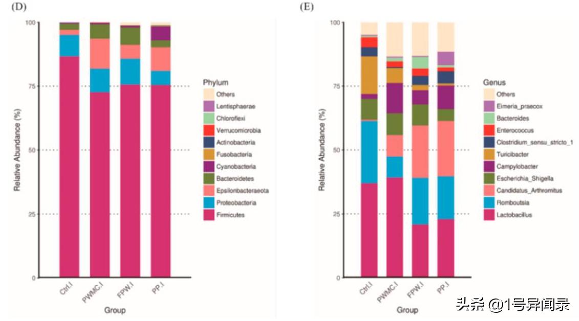 揭示用紫菇废菌堆肥产物作为补充剂对肉鸡肠道微生物、抗炎的影响