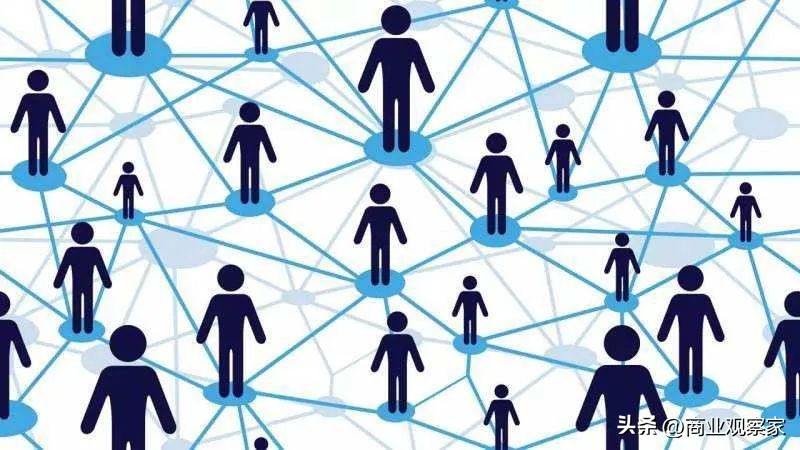 野团生活环境,野枞菌的生长环境