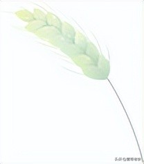 特产荤食,蔬菜荤食