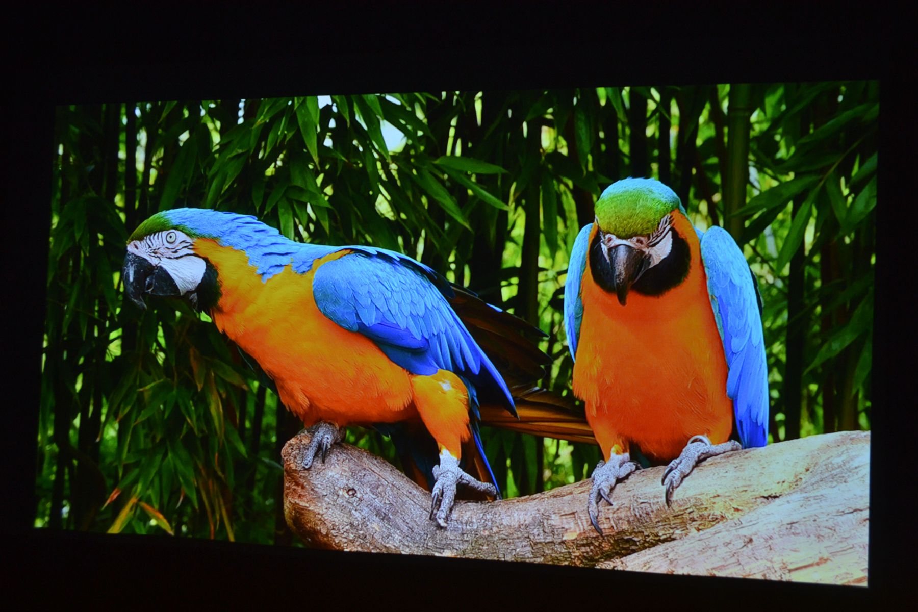 当贝x5投影500寸效果,当贝x5ultra4k投影仪测评