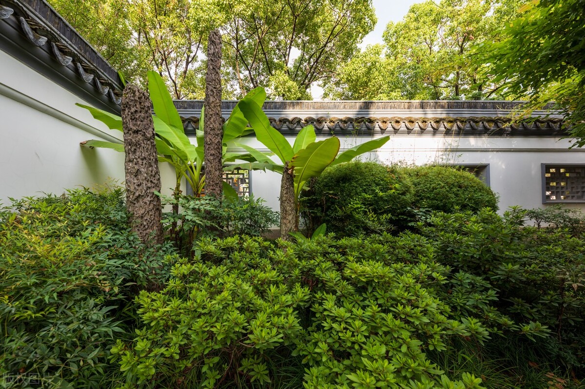 上海游玩免费景点推荐,上海推荐逛的免费景点