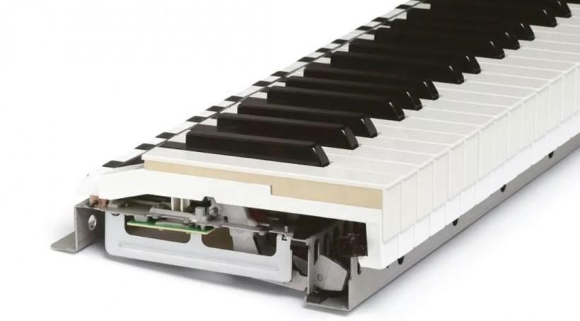 买电钢琴攻略,买电钢琴怎样在网上选