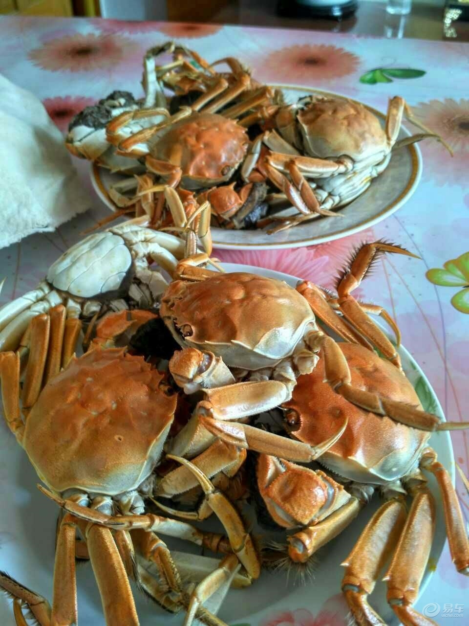 天津的特产什么地方的最正宗,天津著名的特产有哪些