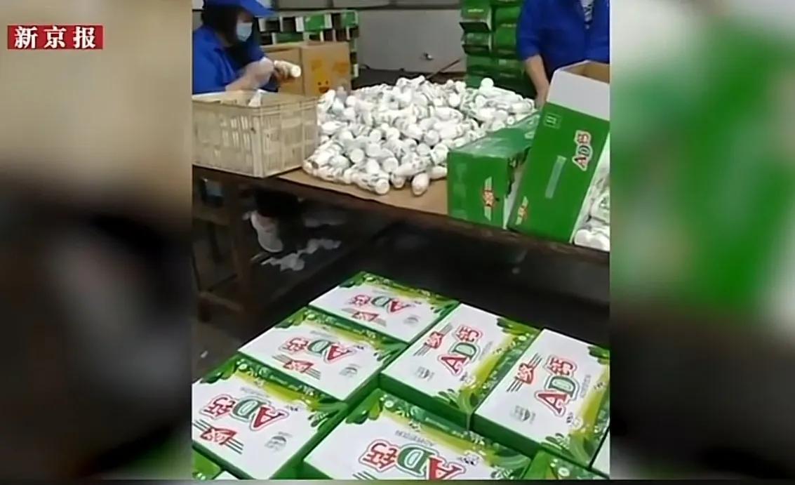 过期牛奶回收后的用途是什么,过期牛奶回收之后去哪了