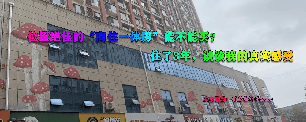 商住一体的房子有哪些利弊,商住一体的小区值得买吗