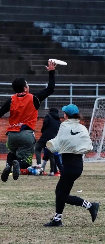 上海玩宠物,上海玩狗户外