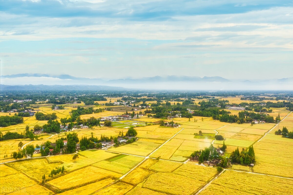 郭进拴神奇的土地,郭进拴作品大全