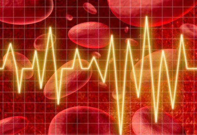 心率越慢寿命越长是真的吗,心率快与心率慢对人的寿命影响