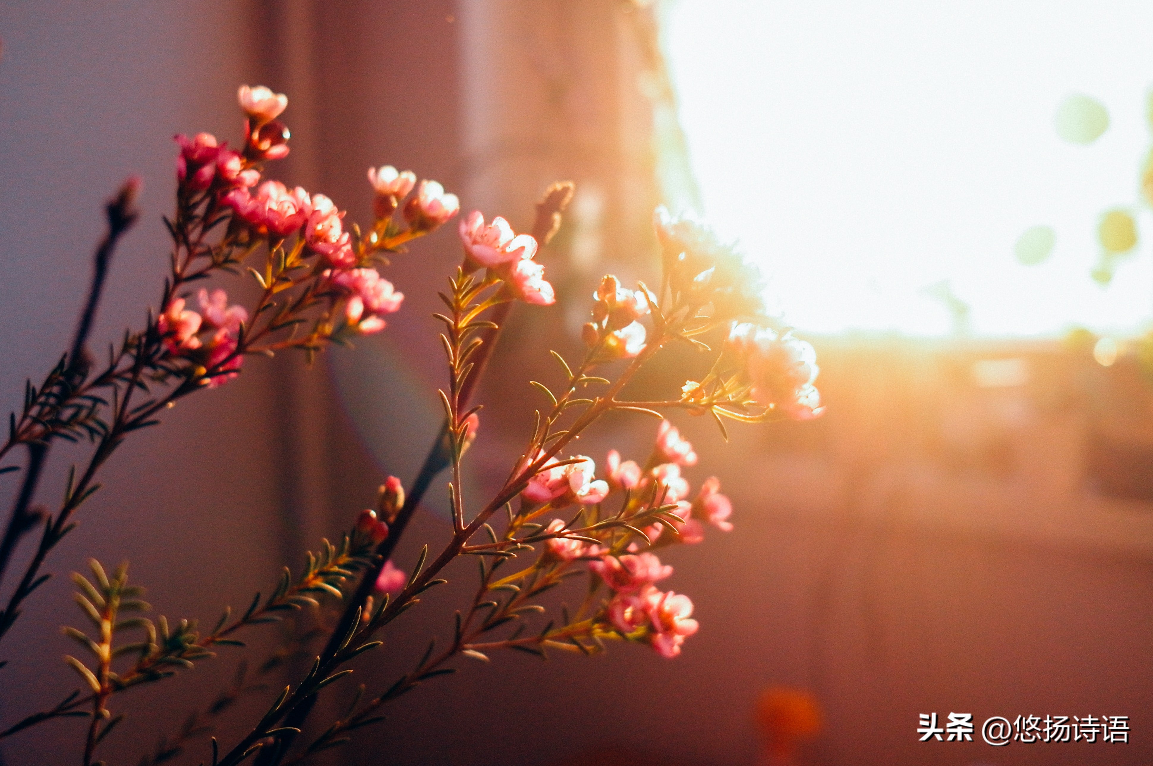 一个人的富贵和祖上有关吗,祖上积德关系家族命运