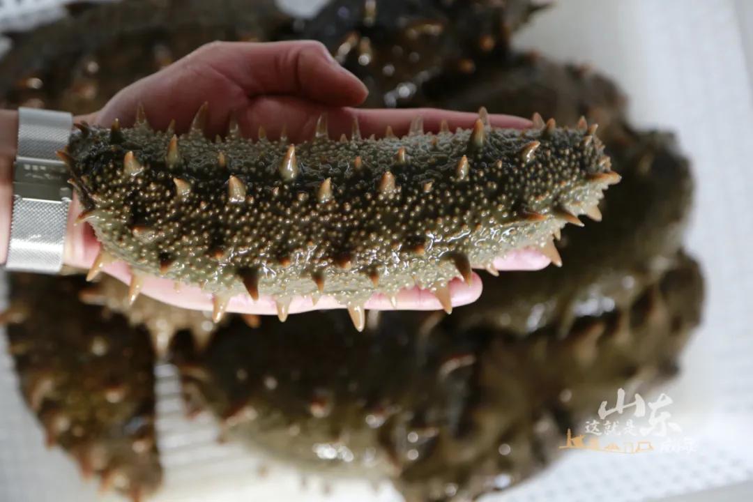 这就是威海,威海这几天天气