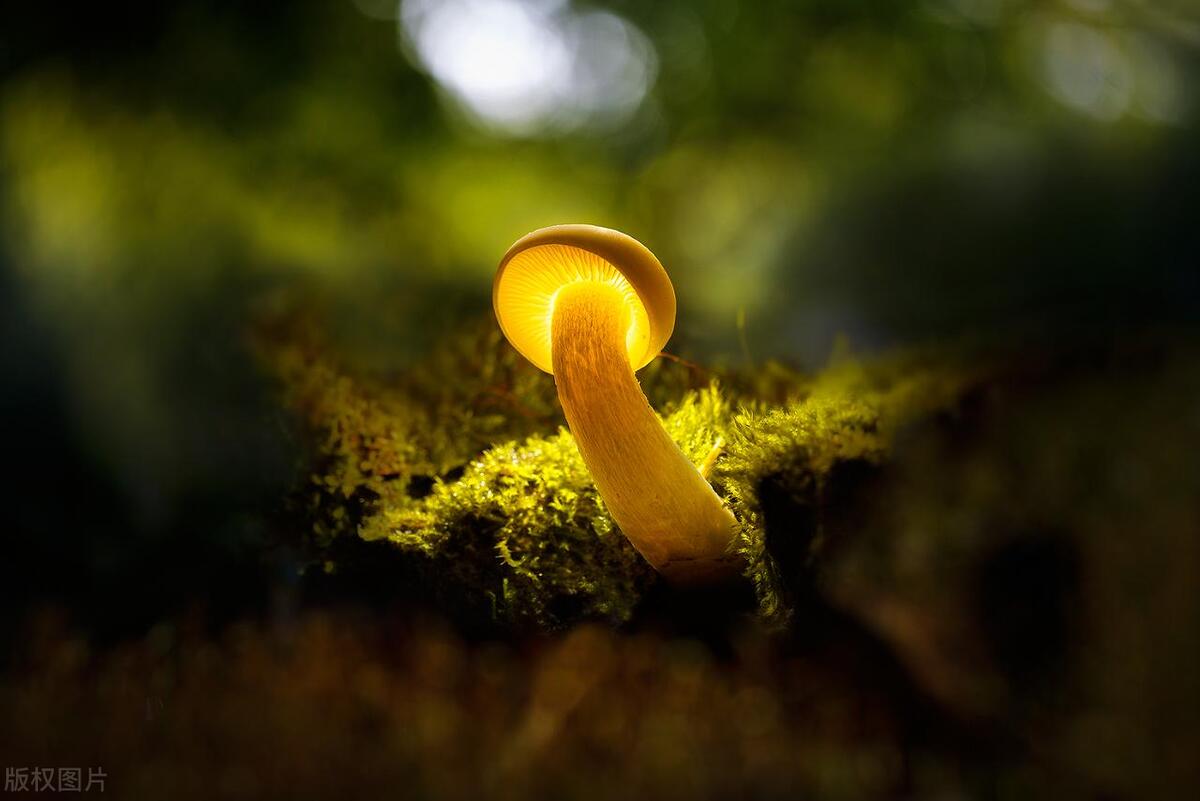 一个人开始走下坡路的10种征兆,人走下坡路前的10个征兆