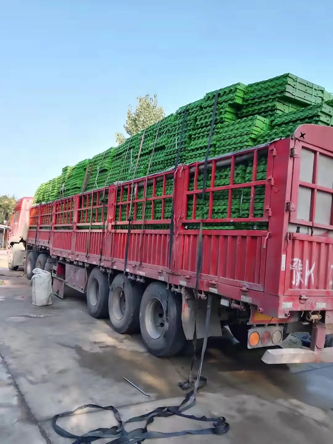 用竹子做的羊床能用几年,竹子养殖羊床制作方法