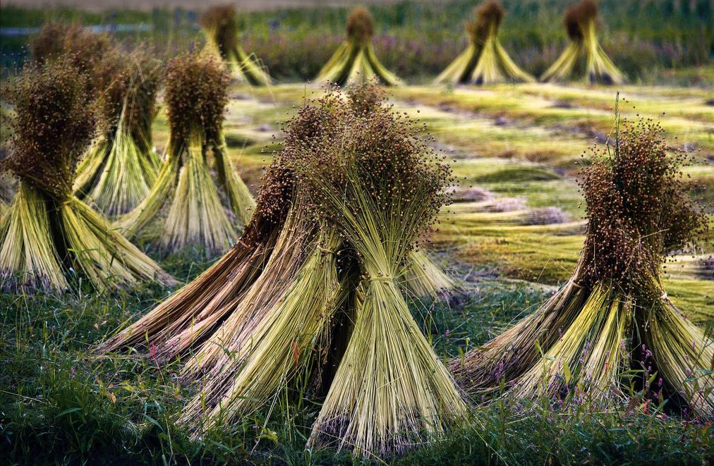 19世纪中后期英国贸易特点,近代与俄不平等的条约汇总