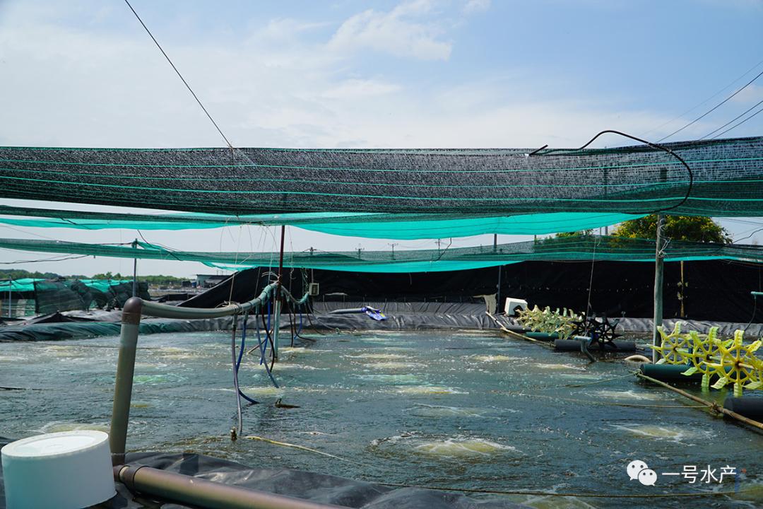 纳米银杀菌效果好不好,纳米银与纳米铜的区别