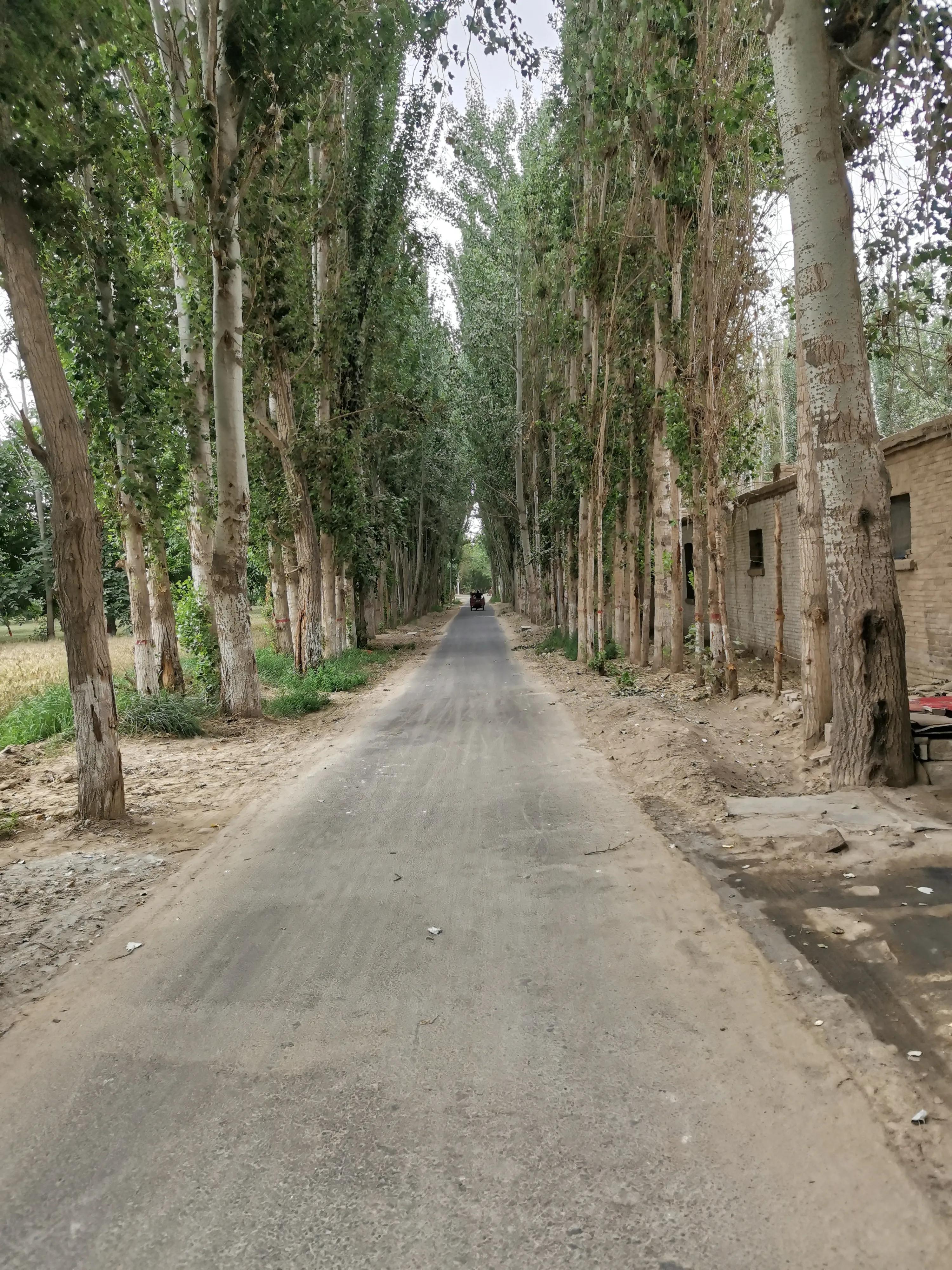 骑行新疆喀什噶尔,和田至阿拉尔沙漠公路骑行攻略