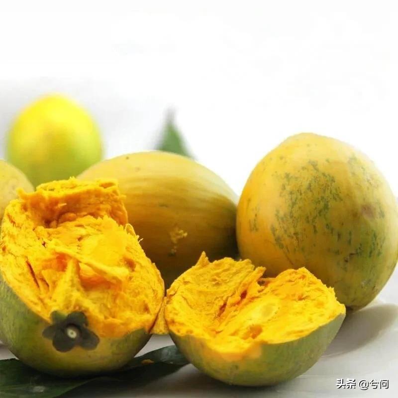 海南的水果特产有哪些？你知道几种？