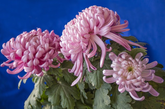 涓勾浠ュ悗濠氬Щ,涓勾濠氬Щ瀹炴儏