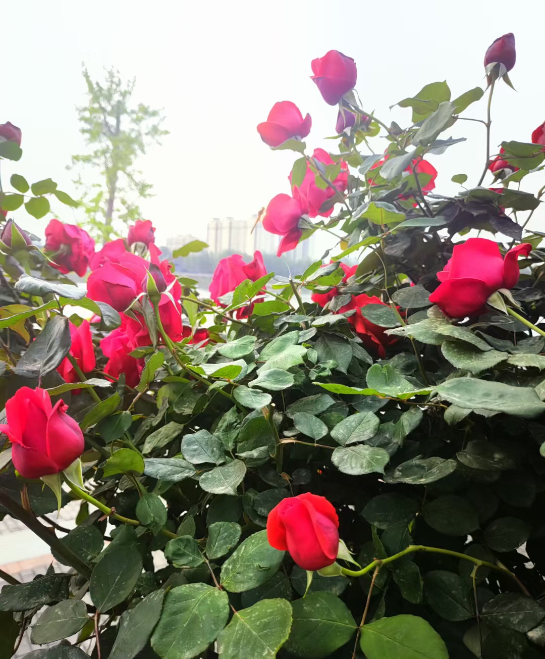 反诈电话提醒是真是假,电话智能反诈功能