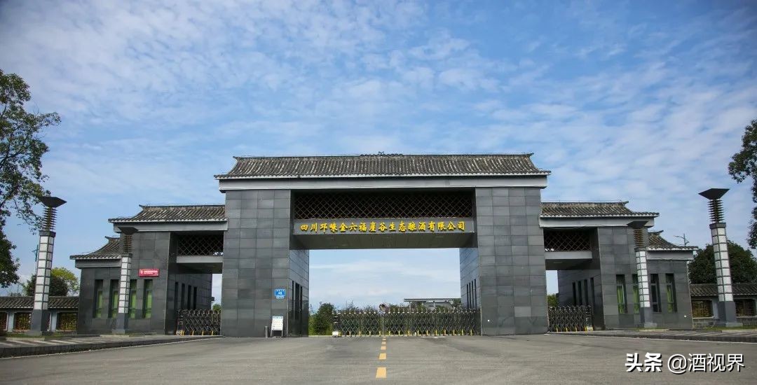 金六福去哪了,金六福到底有多厉害