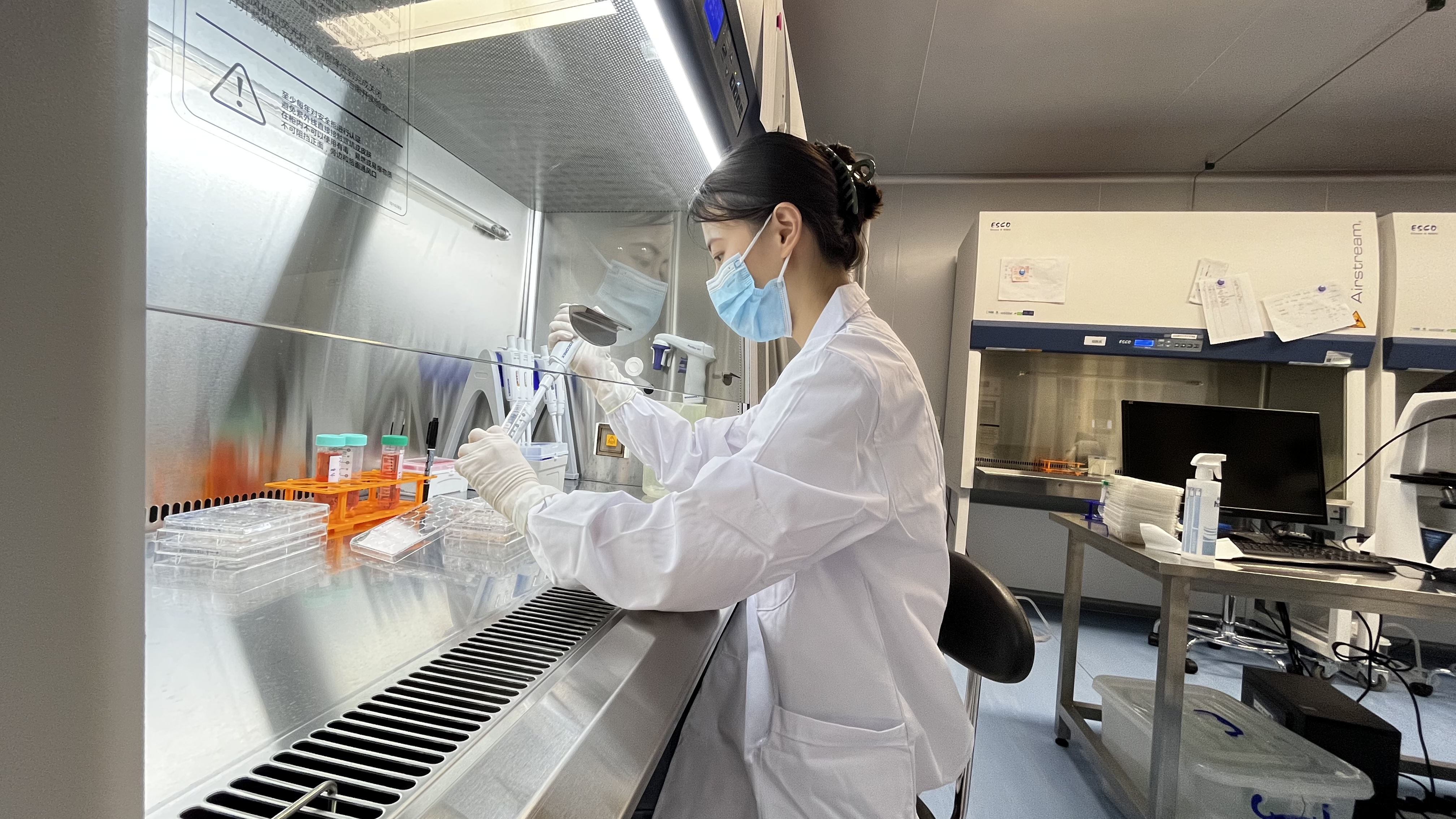 挑战新冠病毒,挑战病毒感冒