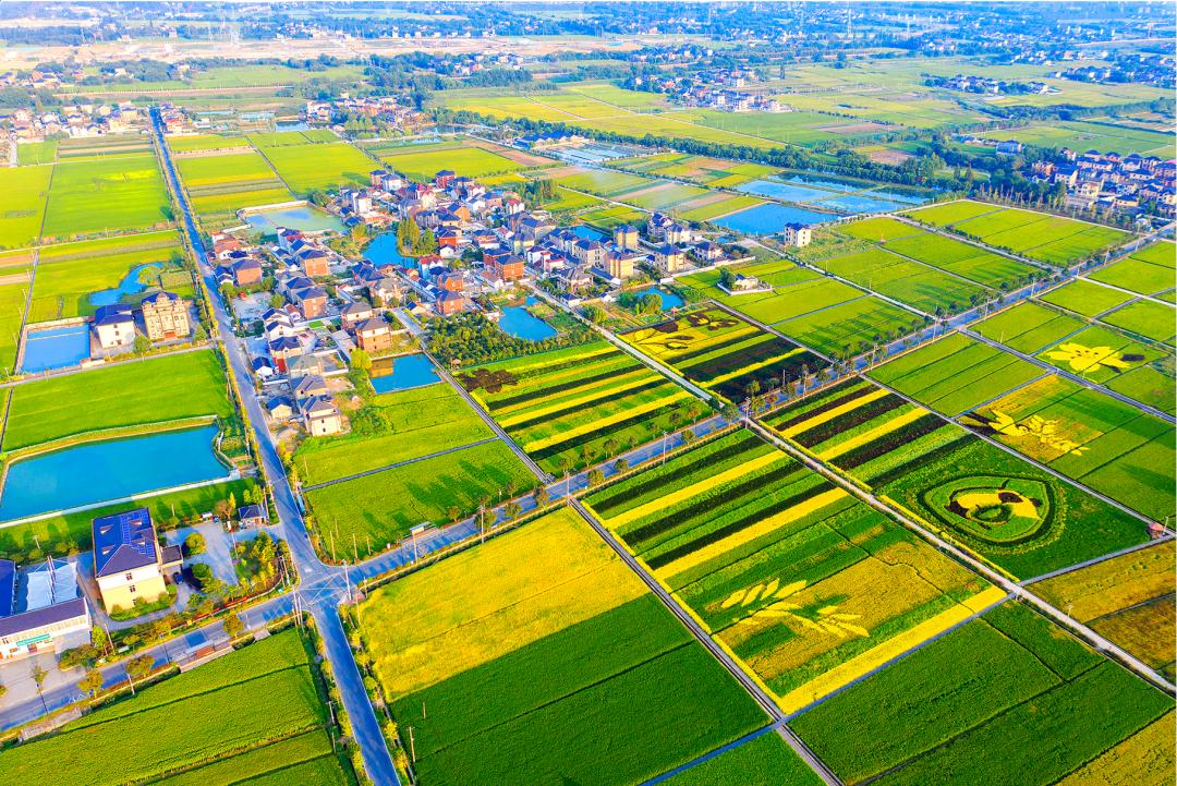 解析全国16个整村运营,解码全国16个整村运营经典案例