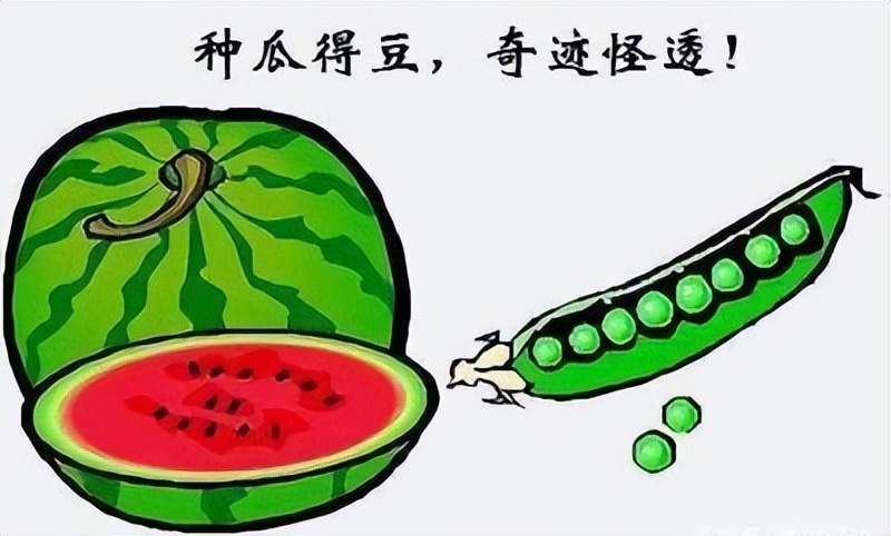 银行初入职场小白的生存法则,银行新入职场的生存法则