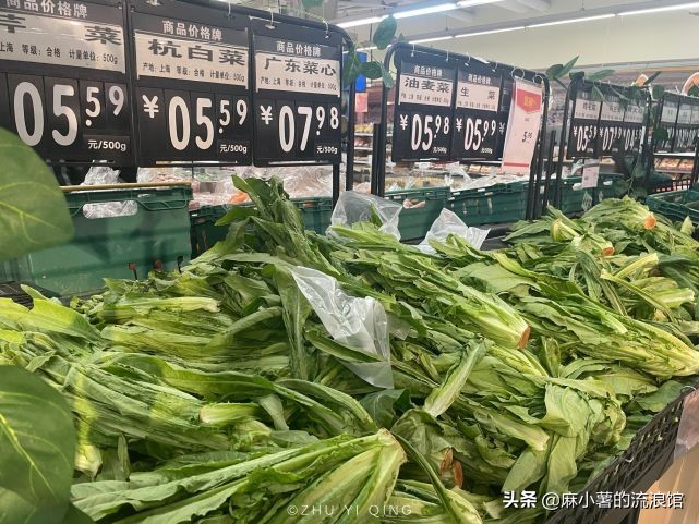 虹口足球场樱花,虹口足球场樱花开在什么地方