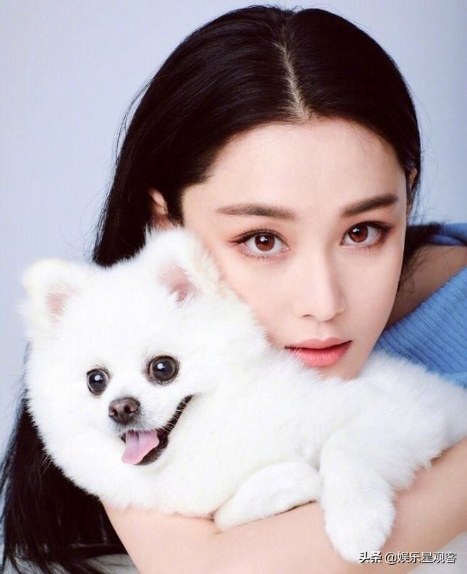 有种整容叫张馨予,张馨予为什么和李晨分手