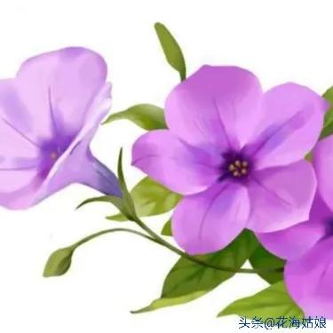 少壮不努力老大徒伤悲作者,少壮不努力老大徒伤悲意思