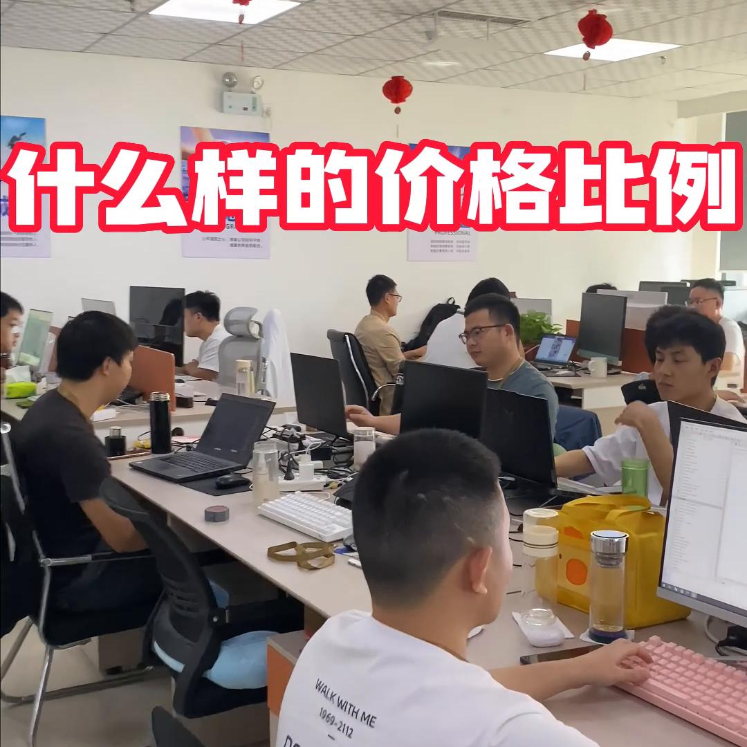 软件开发报价计算,揭秘软件开发的价格表