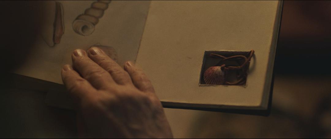 全球票房突破十亿美元最快的电影,评分9.1全球票房近10亿