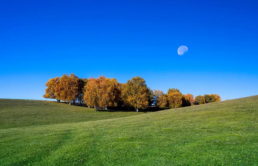 最是新秋好时光，有关新秋的诗词，在诗词里欣赏新秋的美景！​