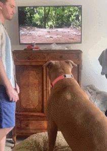 每日一笑腿短不是你的错,每日一笑短腿