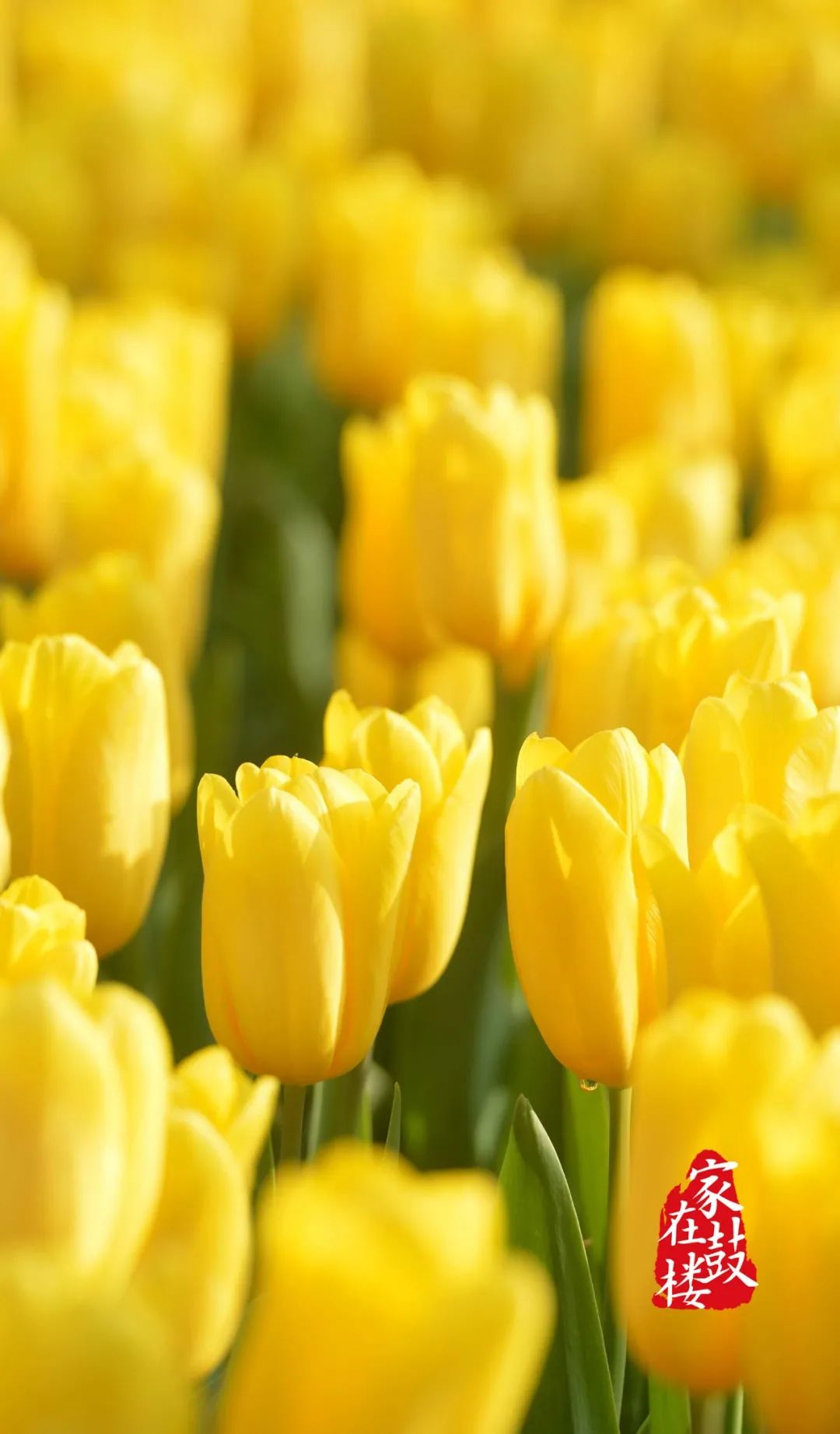 一秒穿越到最浪漫的地方,一秒穿越到风景里