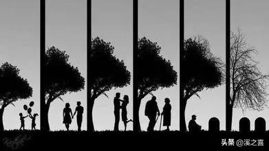 中年人情人节经典语录,中年人情人节幽默句子