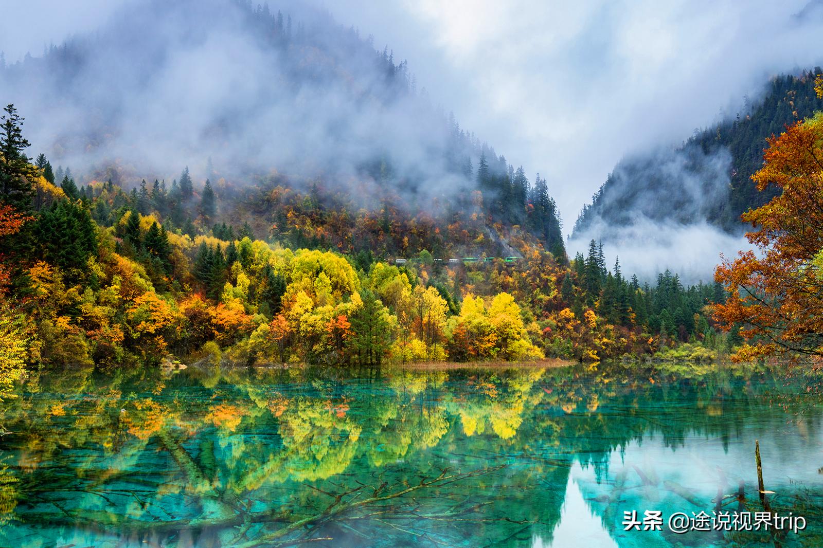 人间仙境的九寨沟,人间仙境九寨沟风景如画美不胜收