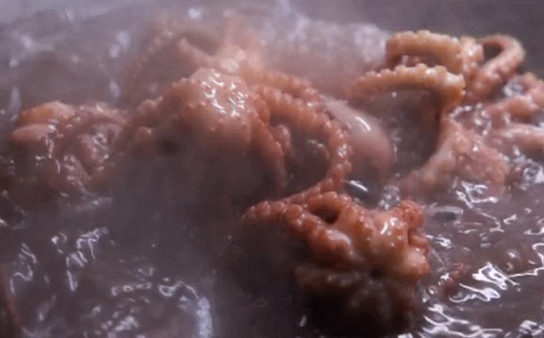 东海最后一处冷门小县城，藏了个海上仙子国，一口小海鲜封神