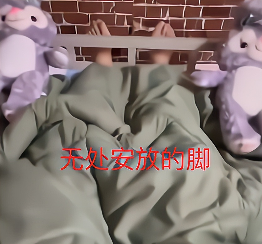 男生吐槽宿舍,大学男生吐槽