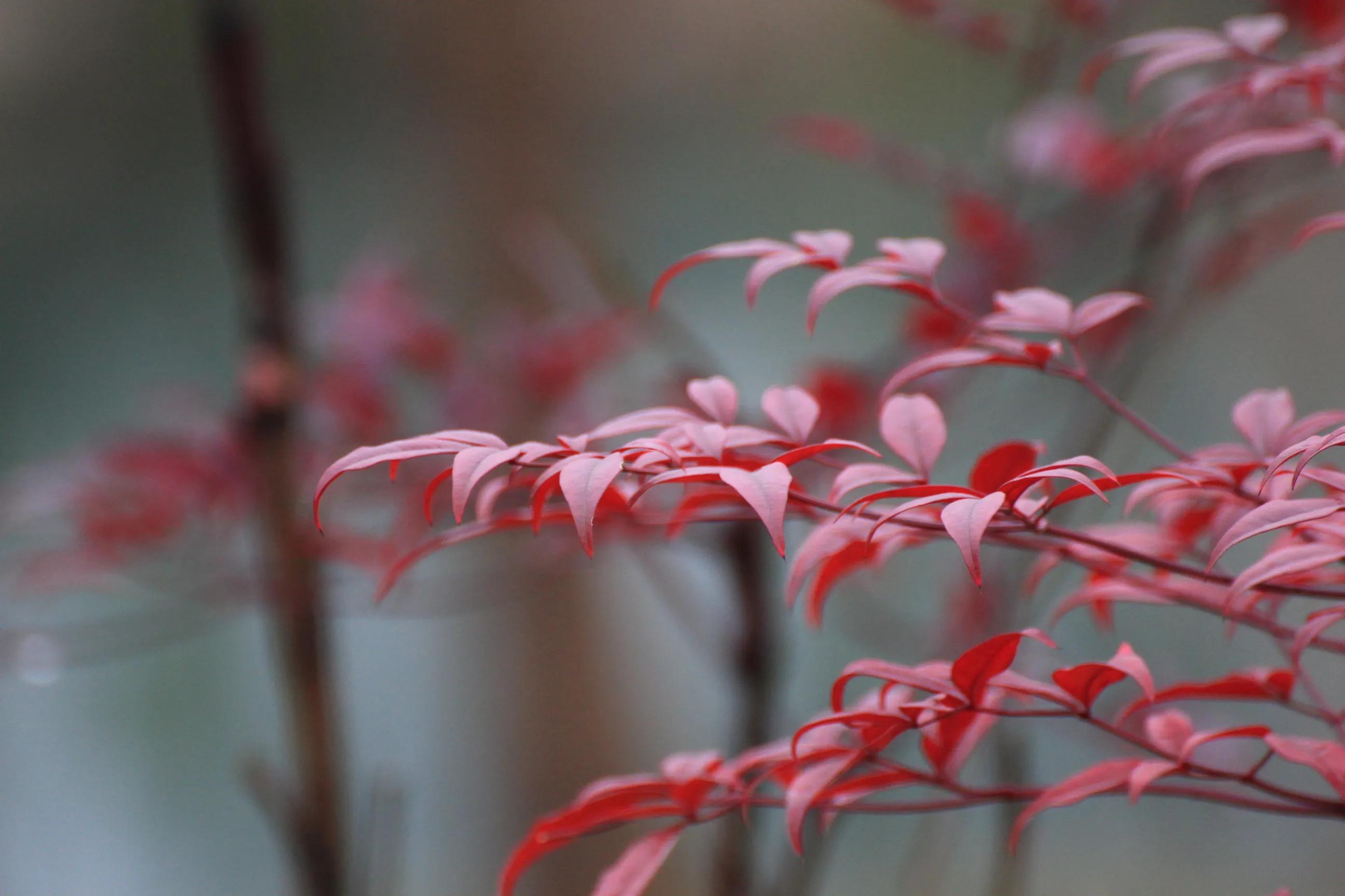 用佳能60d拍照片,新手用佳能600d教程