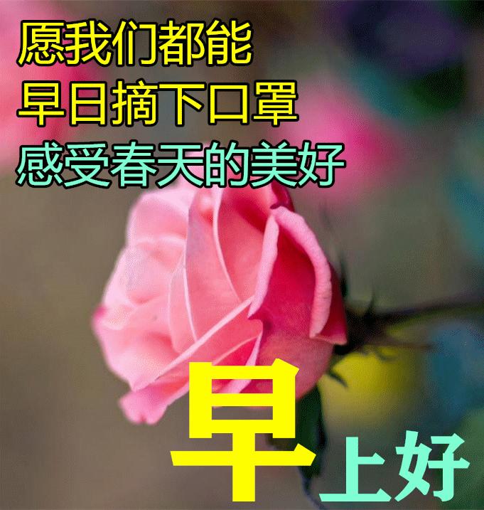 2021年大家早上好动态图片,2021大家早上好动态图