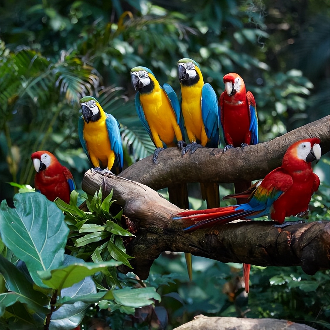 广州长隆酒店童趣乐园,广州游玩长隆性价比超高的酒店