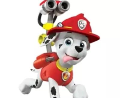 汪汪队立大功狗狗都是什么品种,汪汪队中的11个狗狗品种