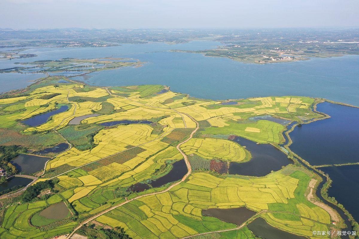 全网最全！建议收藏！本文数万字，只为盘点中国各大省份白酒10强